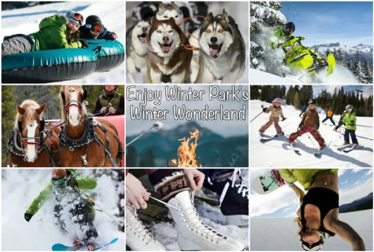 A vibrant montage of winter activities: families and friends tubing on snow, huskies pulling a sled, a snowmobiler, a horse-drawn sleigh, a cozy fire pit gathering, children skiing, a snowboarder, and ice skaters. The scene is joyful and lively, showcasing the variety of winter experiences available nearby.